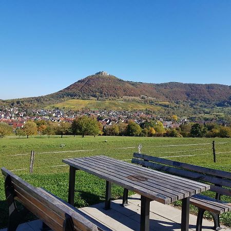 Ferien In Neuffen - Ferienwohnung Plaue Esterno foto